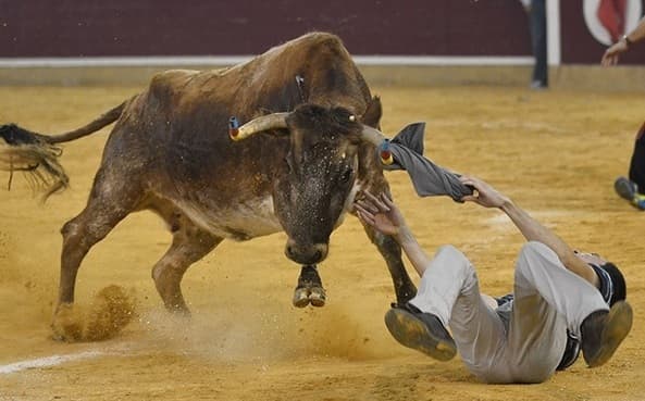 Vaquillas en la Plaza de Toros en los Pilares