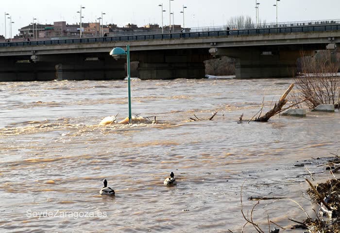 Crecida del Ebro en Zaragoza
