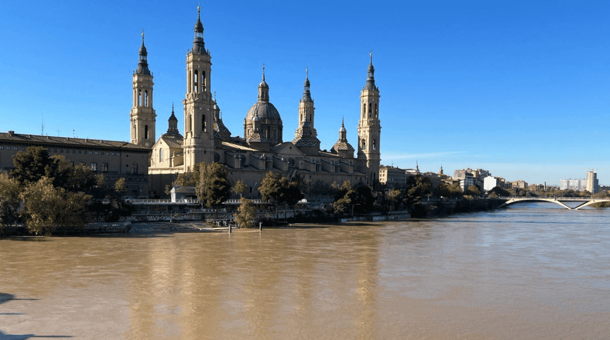 propósitos del año 2025