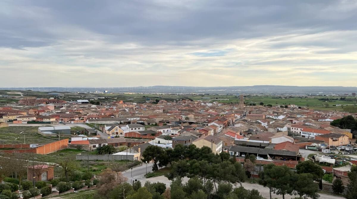 El cerdo como motor económico de Zaragoza: así es el proyecto que impulsará la creación de 12.000 empleos a 15 minutos del Pilar