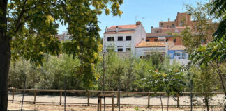 Bosque Japonés en la ciudad de Zaragoza